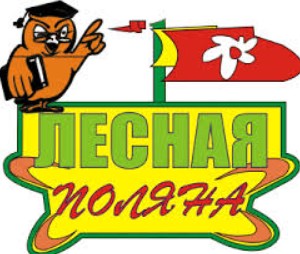 Детский лагерь Лесная поляна в Омске